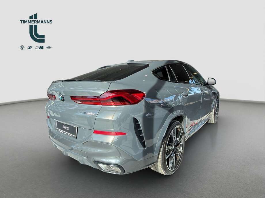 BMW X6 (Bild 5/15)