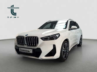 BMW X1 (Bild 1/19)