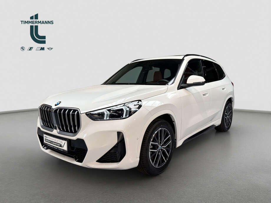 BMW X1 (Bild 1/19)