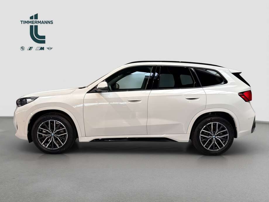 BMW X1 (Bild 2/19)