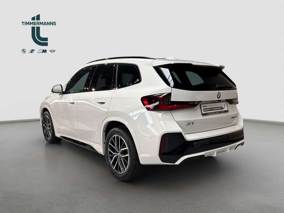 BMW X1 (Bild 3/19)