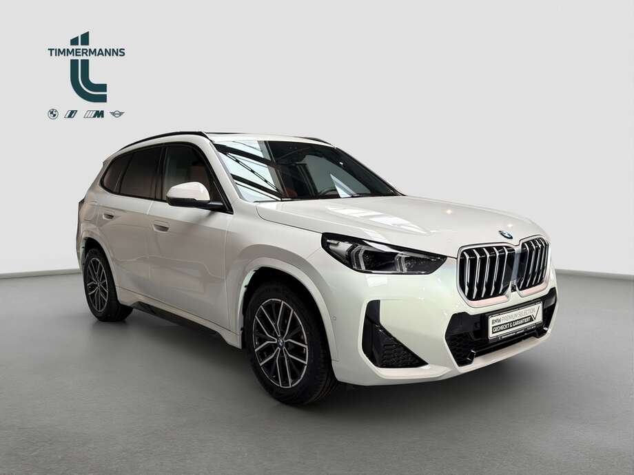 BMW X1 (Bild 8/19)