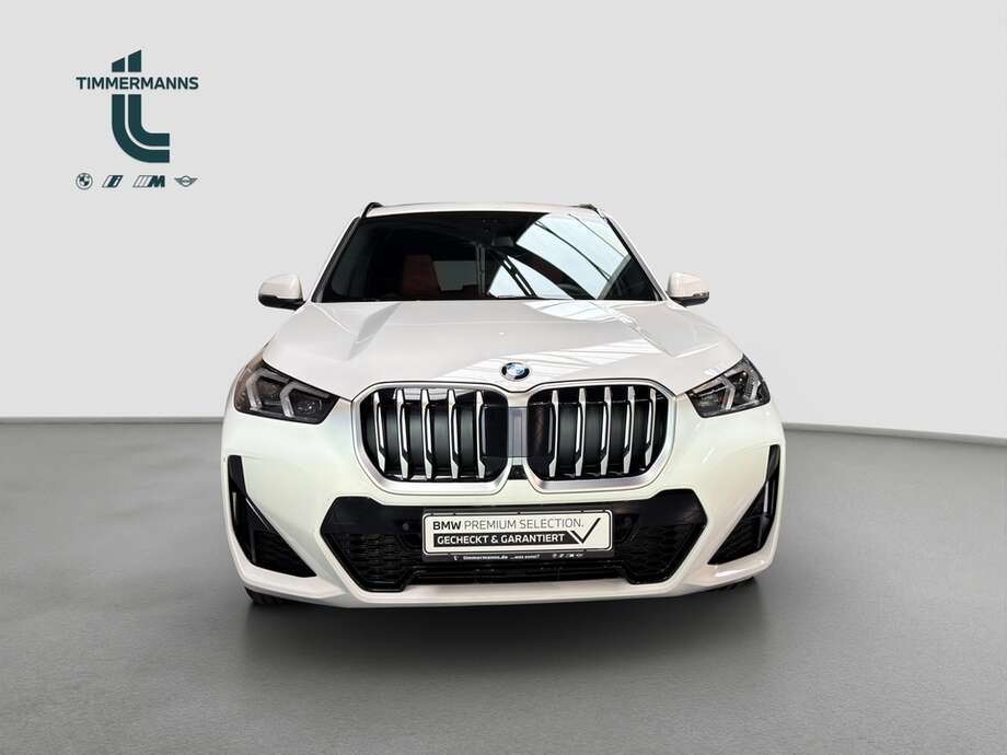 BMW X1 (Bild 9/19)