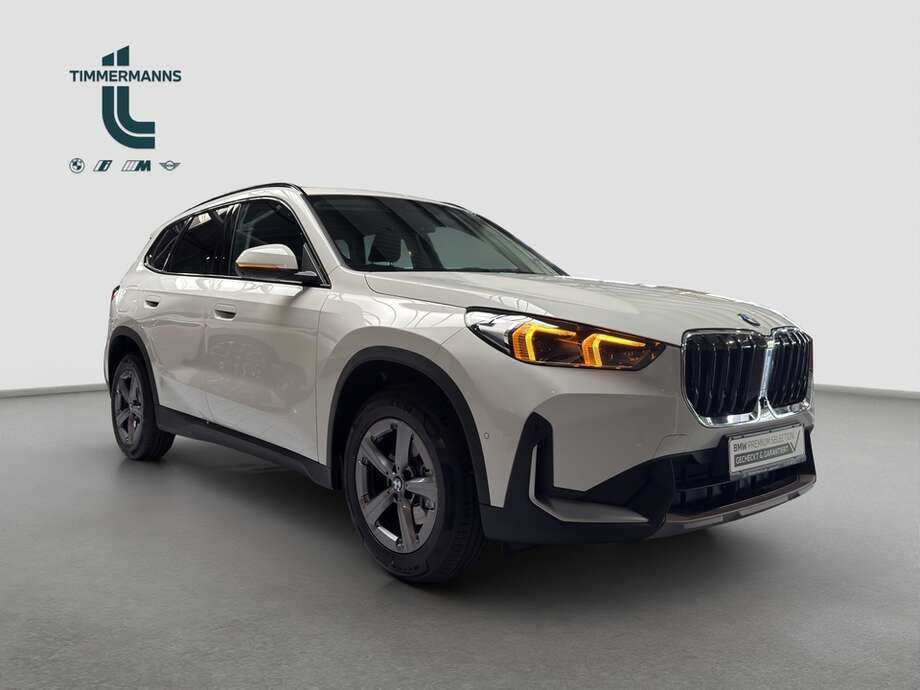 BMW X1 (Bild 8/16)