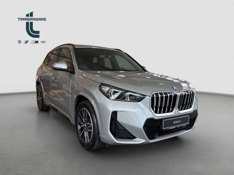 BMW X1 (Bild 7/15)