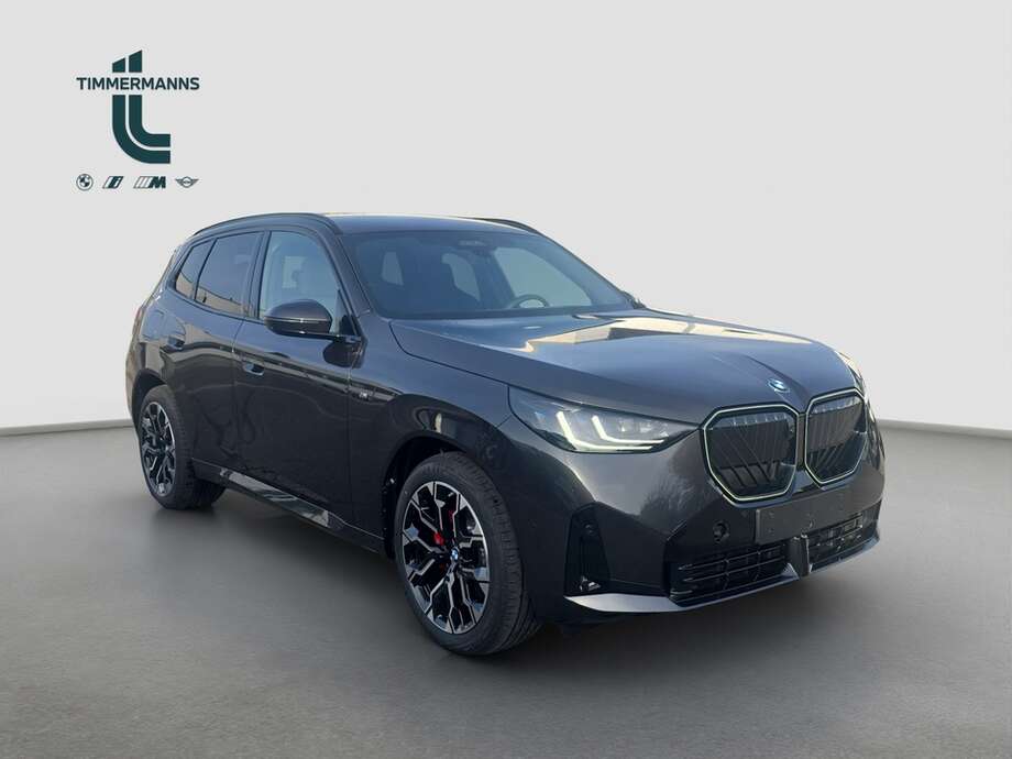 BMW X3 (Bild 7/17)