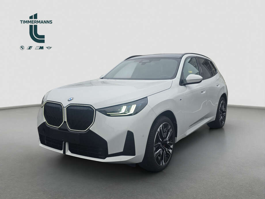 BMW X3 (Bild 1/17)