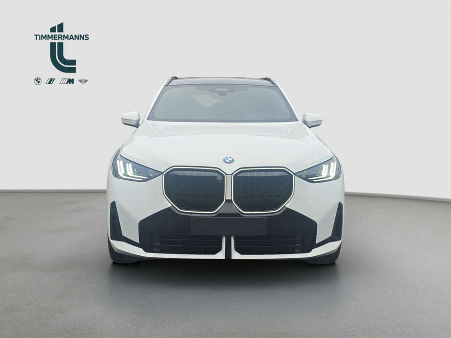 BMW X3 (Bild 8/17)
