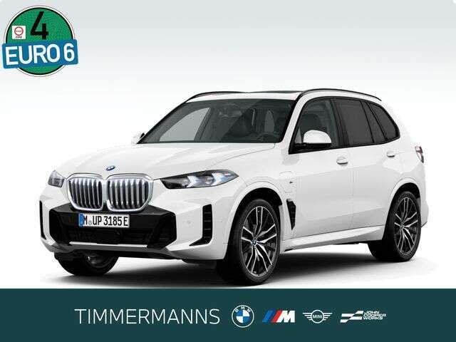 BMW X5 (Bild 1/5)