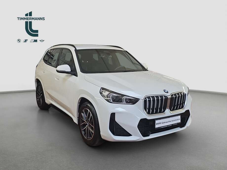 BMW X1 (Bild 8/19)