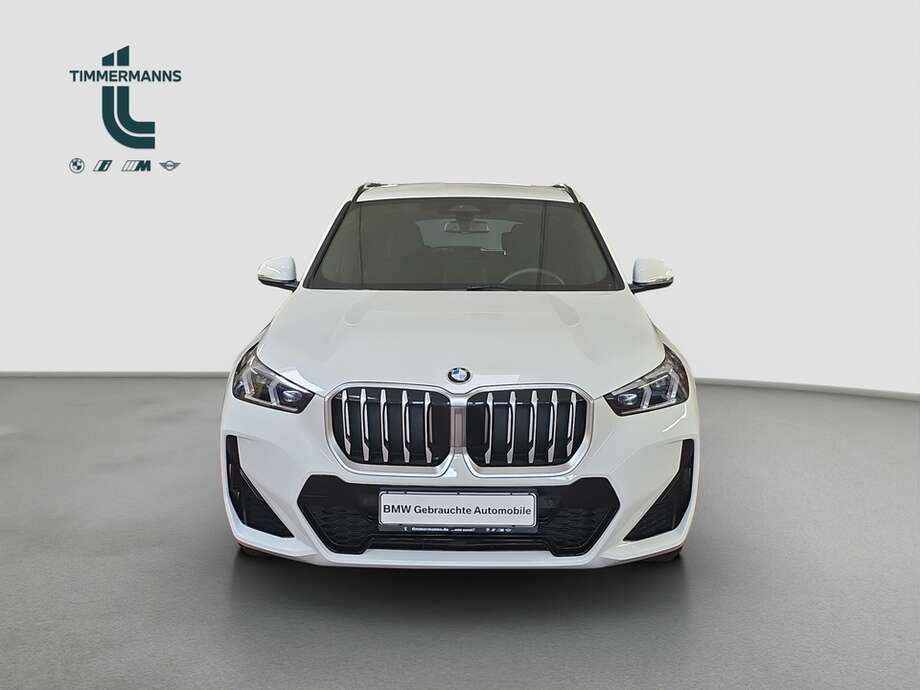 BMW X1 (Bild 9/19)