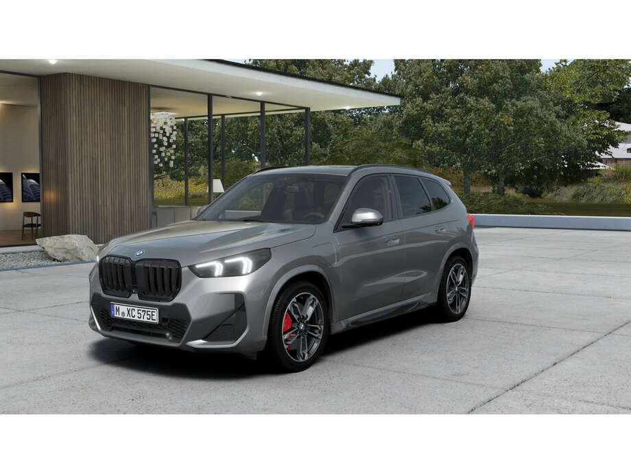 BMW X1 (Bild 1/5)