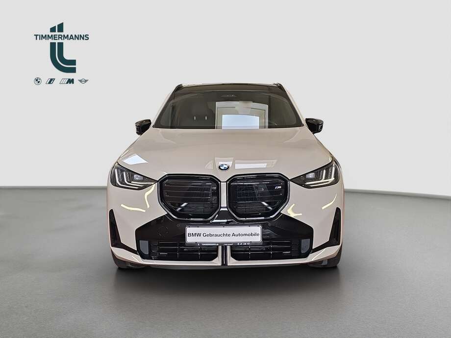 BMW X3 (Bild 8/20)
