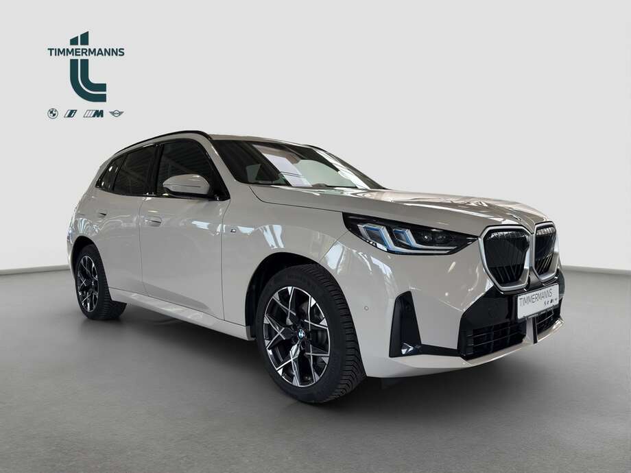 BMW X3 (Bild 7/21)