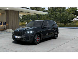 BMW X5 (Bild 1/5)
