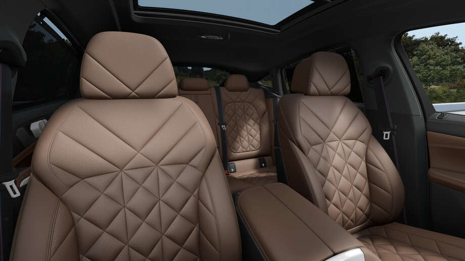 BMW X6 (Bild 4/5)