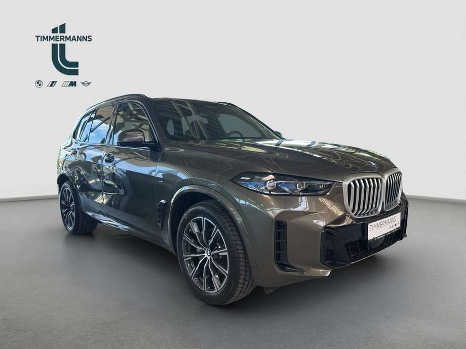 BMW X5 (Bild 6/15)