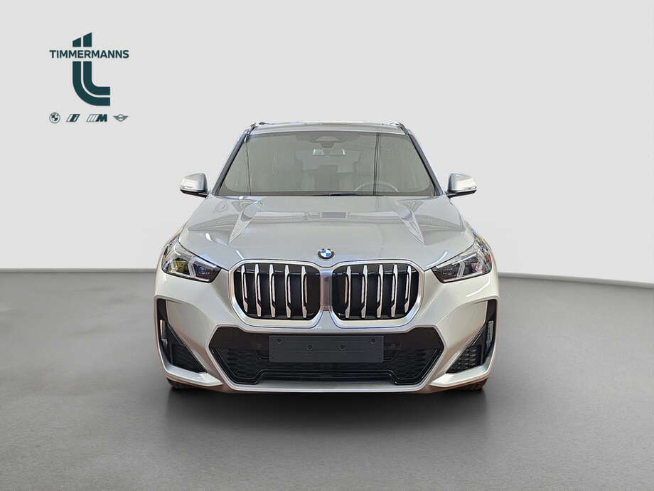 BMW X1 (Bild 8/14)