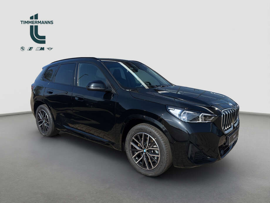 BMW X1 (Bild 6/18)