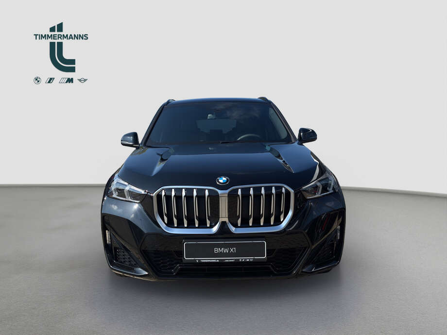 BMW X1 (Bild 7/18)