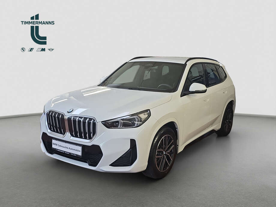 BMW X1 (Bild 1/19)