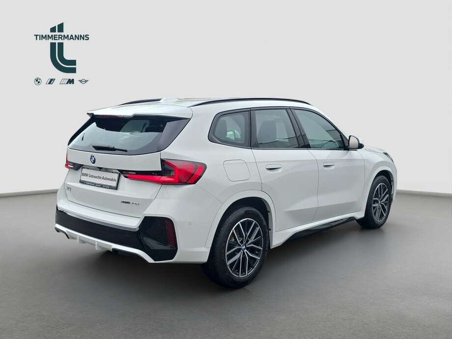 BMW X1 (Bild 5/19)