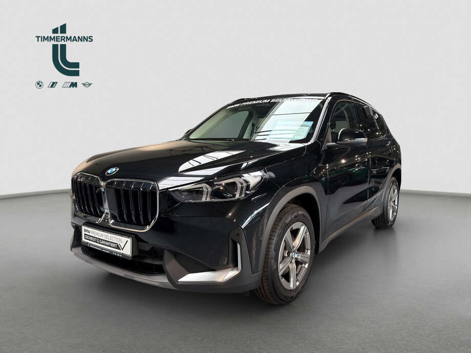 BMW X1 (Bild 1/19)