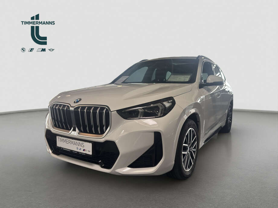 BMW X1 (Bild 1/15)