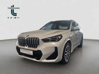 BMW X1 (Bild 1/5)