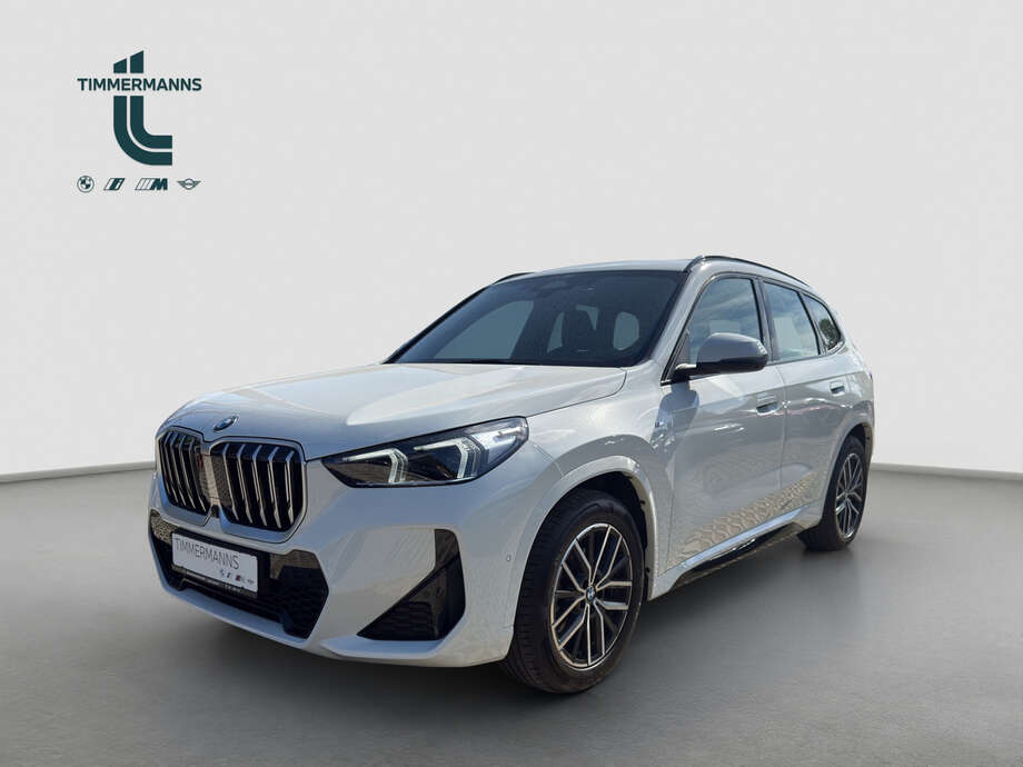 BMW X1 (Bild 1/29)
