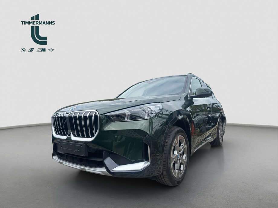BMW X1 (Bild 1/6)