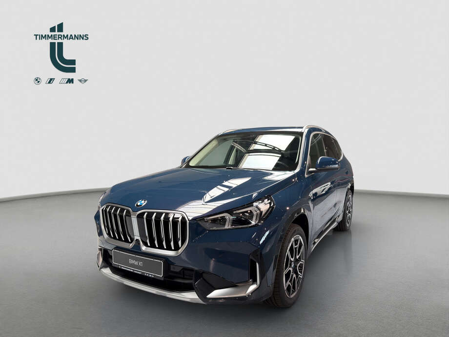 BMW X1 (Bild 1/18)