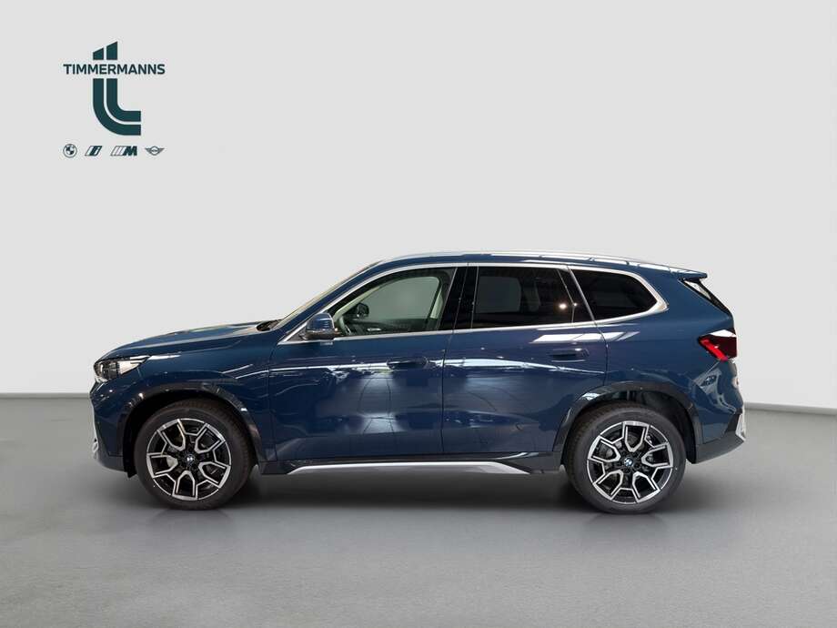 BMW X1 (Bild 2/18)