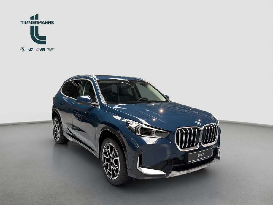 BMW X1 (Bild 7/18)