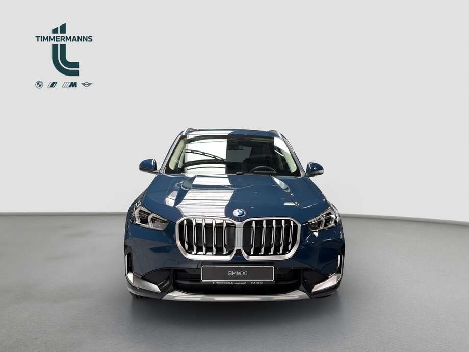 BMW X1 (Bild 8/18)