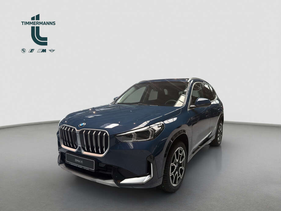 BMW X1 (Bild 1/18)