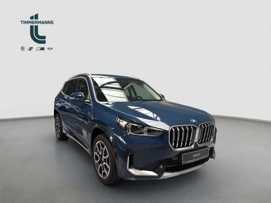BMW X1 (Bild 7/18)