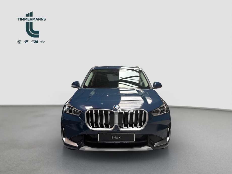 BMW X1 (Bild 8/18)