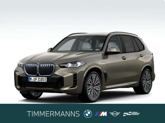 BMW X5 (Bild 1/6)