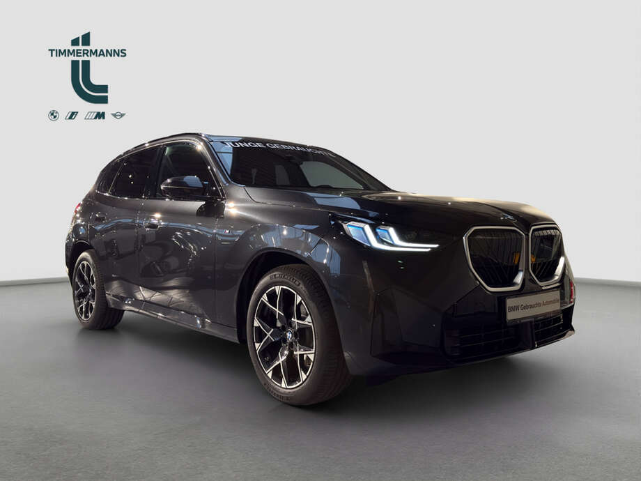 BMW X3 (Bild 7/15)