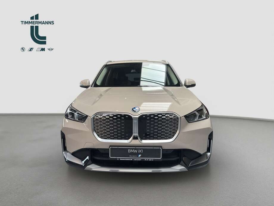 BMW BMW iX1 xDrive30 (Bild 8/18)