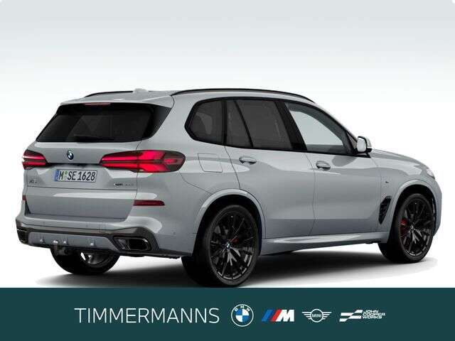 BMW X5 (Bild 5/5)