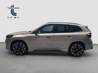 BMW X1 (Bild 2/18)