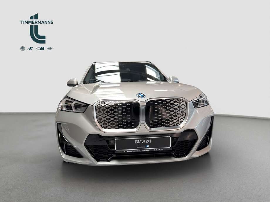 BMW BMW iX1 eDrive20 (Bild 8/18)