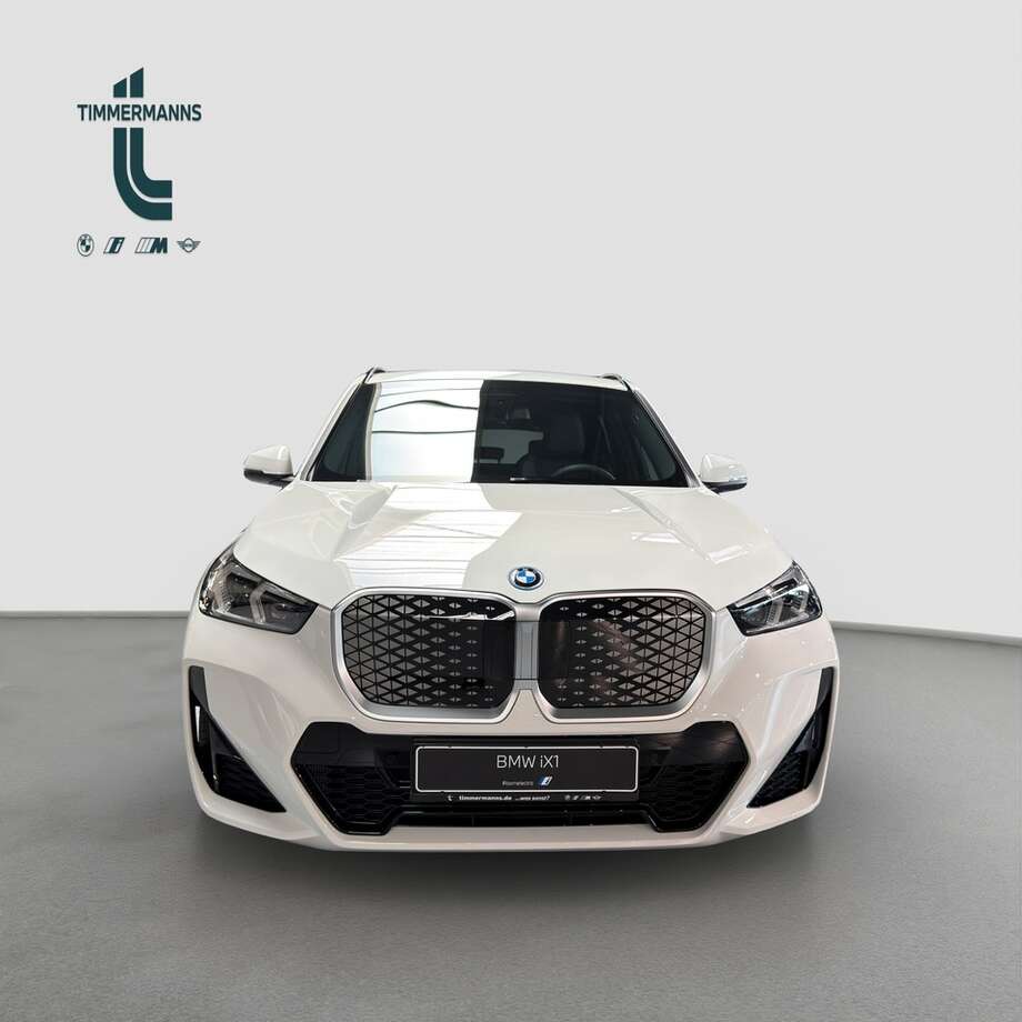BMW BMW iX1 eDrive20 (Bild 8/18)