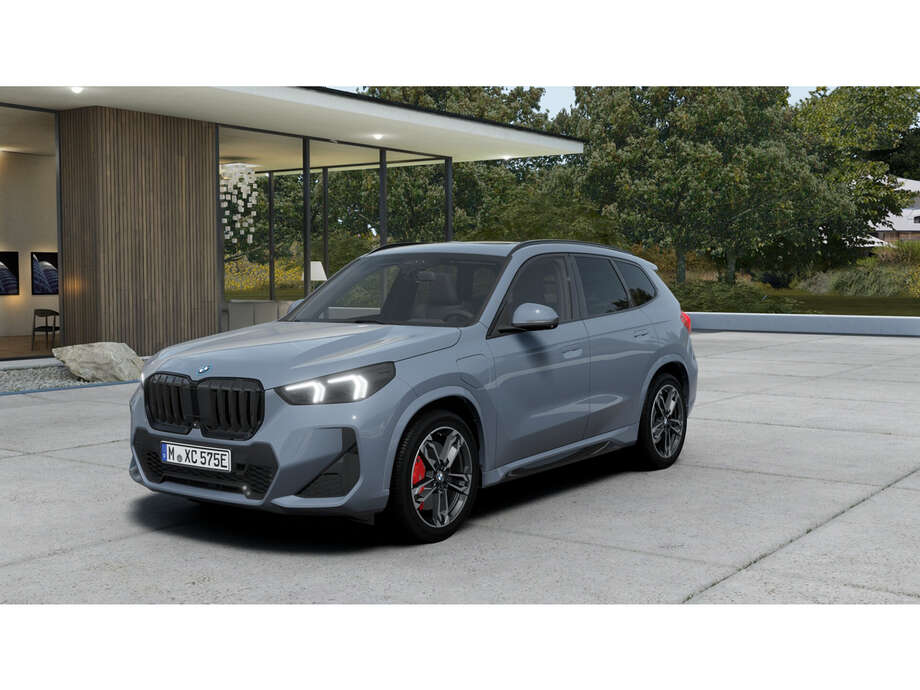 BMW X1 (Bild 1/5)