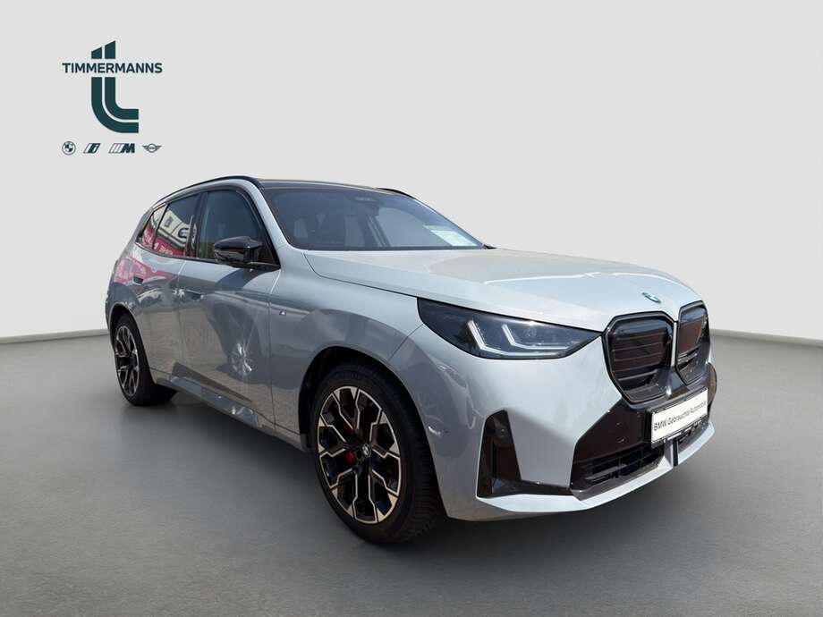 BMW X3 (Bild 7/18)