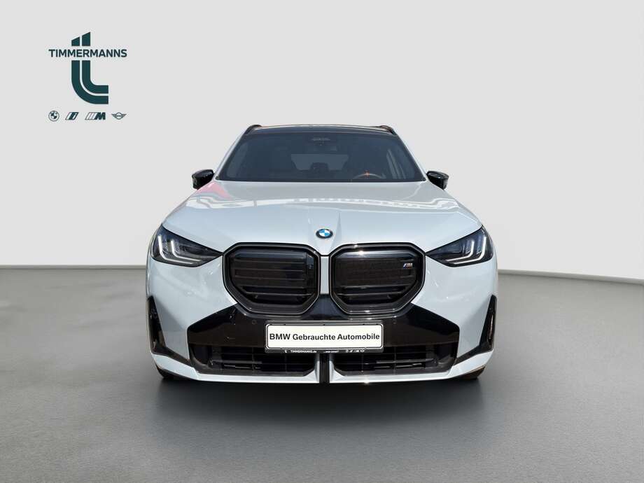 BMW X3 (Bild 8/18)