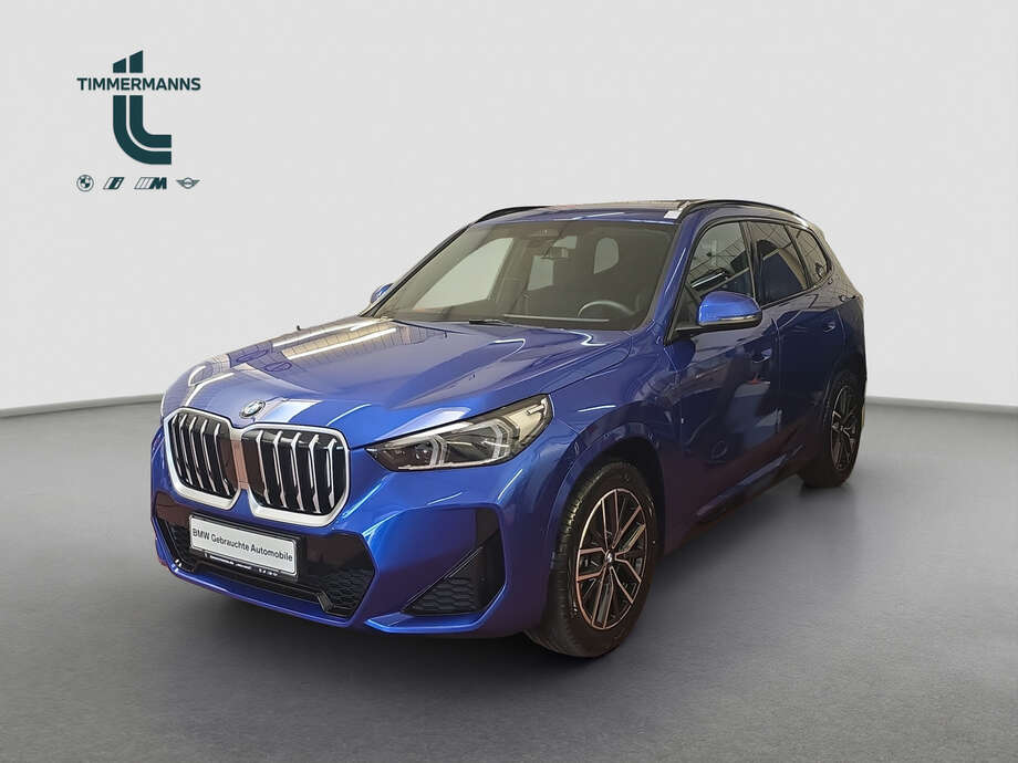 BMW X1 (Bild 1/19)