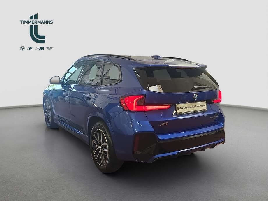 BMW X1 (Bild 3/19)